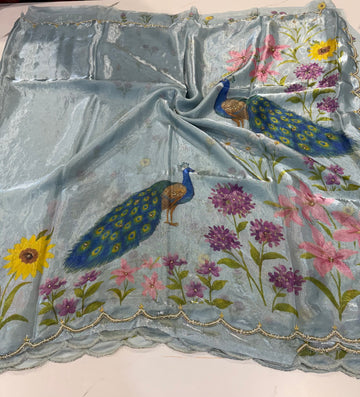 SP-2C skyblue space silk saree